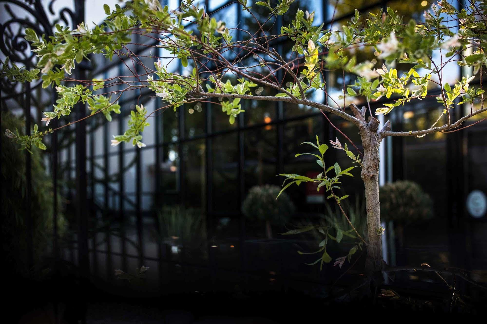 Maison Decoret - Relais & Chateaux Vichy Buitenkant foto